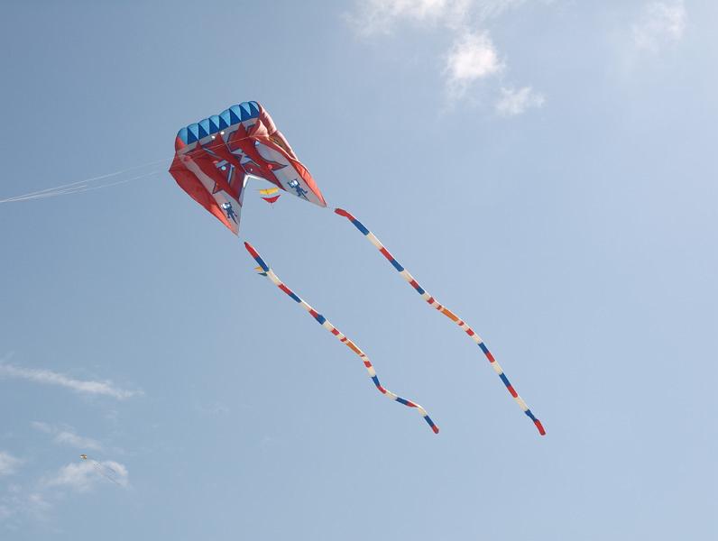 Fanø 2009 12.jpg